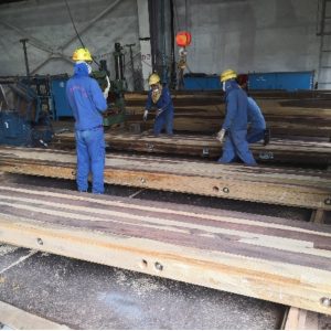 11-1119 Heerema - Wamara​